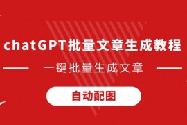 [奥秘无穷]20250629 腰旗橄榄球